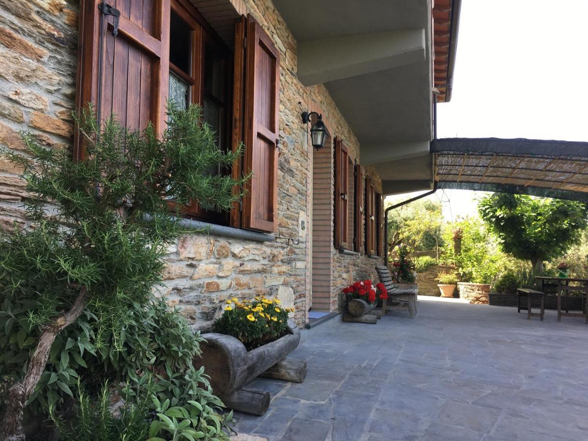 Gelsomini Villa Massa  Luaran gambar