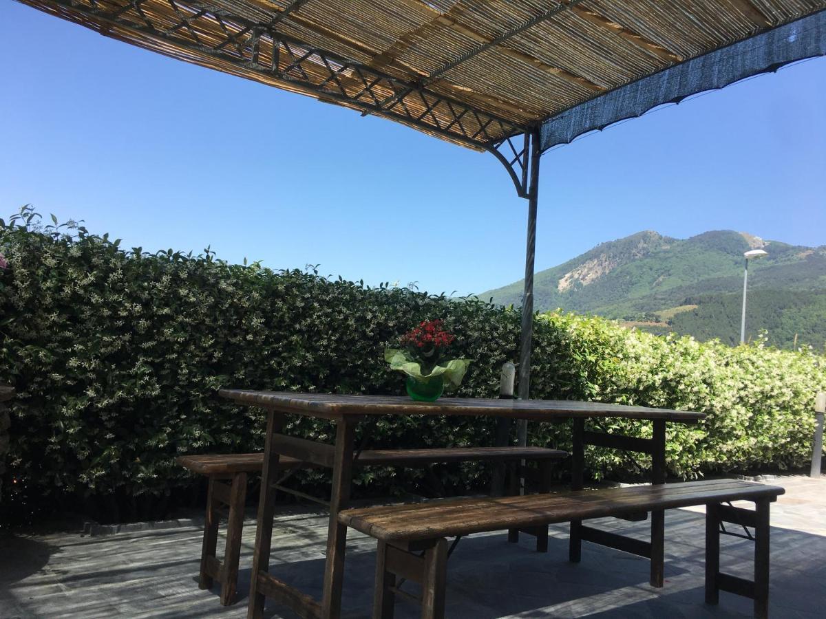 Gelsomini Villa Massa  Luaran gambar