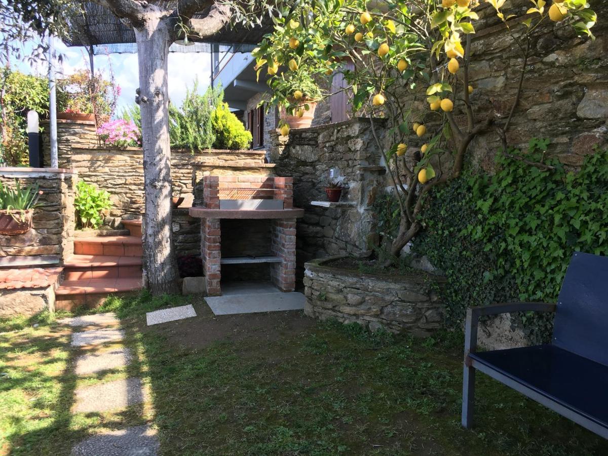 Gelsomini Villa Massa  Luaran gambar